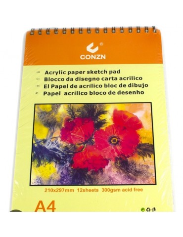 BLOCK LISO 300GR 12HS A4 